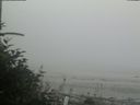 ./images/calvert/beach/20180809/beach20180809_193502.jpg