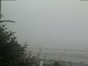 ./images/calvert/beach/20180809/beach20180809_194502.jpg