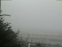 ./images/calvert/beach/20180809/beach20180809_195502.jpg