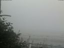 ./images/calvert/beach/20180809/beach20180809_202502.jpg