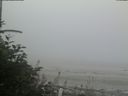 ./images/calvert/beach/20180809/beach20180809_203502.jpg