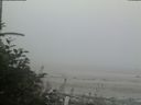./images/calvert/beach/20180809/beach20180809_204503.jpg