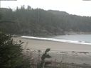 ./images/calvert/beach/20180811/beach20180811_111001.jpg