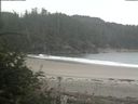 ./images/calvert/beach/20180811/beach20180811_111501.jpg