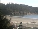 ./images/calvert/beach/20180812/beach20180812_173501.jpg
