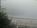 ./images/calvert/beach/20180813/beach20180813_175003.jpg