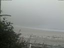 ./images/calvert/beach/20180813/beach20180813_182003.jpg