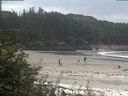 ./images/calvert/beach/20180815/beach20180815_112002.jpg