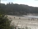 ./images/calvert/beach/20180815/beach20180815_114501.jpg