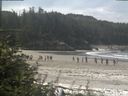 ./images/calvert/beach/20180815/beach20180815_115503.jpg