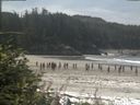 ./images/calvert/beach/20180815/beach20180815_120002.jpg