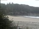 ./images/calvert/beach/20180816/beach20180816_092002.jpg