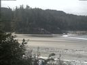 ./images/calvert/beach/20180816/beach20180816_111503.jpg