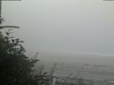 ./images/calvert/beach/20180818/beach20180818_075002.jpg