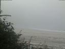 ./images/calvert/beach/20180818/beach20180818_091002.jpg