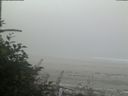 ./images/calvert/beach/20180818/beach20180818_092502.jpg