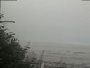 ./images/calvert/beach/20180820/beach20180820_094501.jpg
