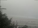 ./images/calvert/beach/20180820/beach20180820_102502.jpg