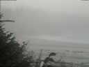 ./images/calvert/beach/20180820/beach20180820_131002.jpg