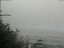 ./images/calvert/beach/20180820/beach20180820_132501.jpg