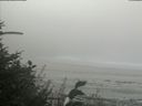./images/calvert/beach/20180820/beach20180820_140002.jpg