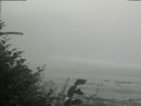 ./images/calvert/beach/20180820/beach20180820_141502.jpg