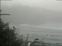 ./images/calvert/beach/20180820/beach20180820_142503.jpg