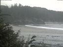 ./images/calvert/beach/20180820/beach20180820_150502.jpg