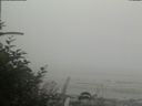 ./images/calvert/beach/20180821/beach20180821_185001.jpg