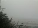 ./images/calvert/beach/20180821/beach20180821_185503.jpg