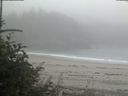./images/calvert/beach/20180822/beach20180822_095502.jpg