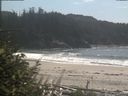 ./images/calvert/beach/20180827/beach20180827_142001.jpg