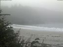 ./images/calvert/beach/20180828/beach20180828_132003.jpg