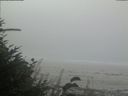 ./images/calvert/beach/20180828/beach20180828_141001.jpg