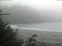 ./images/calvert/beach/20180828/beach20180828_145502.jpg