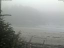 ./images/calvert/beach/20180829/beach20180829_080503.jpg