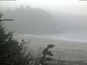 ./images/calvert/beach/20180829/beach20180829_122501.jpg