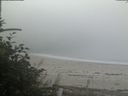 ./images/calvert/beach/20180904/beach20180904_081002.jpg