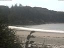 ./images/calvert/beach/20180909/beach20180909_113002.jpg