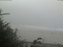 ./images/calvert/beach/20180924/beach20180924_105002.jpg