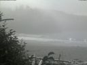 ./images/calvert/beach/20180924/beach20180924_131502.jpg