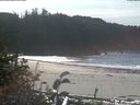 ./images/calvert/beach/20181014/beach20181014_132003.jpg