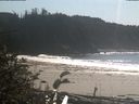 ./images/calvert/beach/20181015/beach20181015_143502.jpg