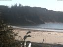./images/calvert/beach/20181015/beach20181015_155501.jpg