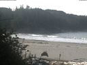 ./images/calvert/beach/20181017/beach20181017_104002.jpg