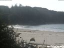 ./images/calvert/beach/20181017/beach20181017_111003.jpg