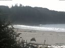 ./images/calvert/beach/20181017/beach20181017_112002.jpg