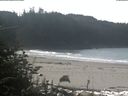 ./images/calvert/beach/20181017/beach20181017_112502.jpg