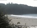 ./images/calvert/beach/20181017/beach20181017_114003.jpg