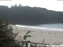 ./images/calvert/beach/20181017/beach20181017_120502.jpg
